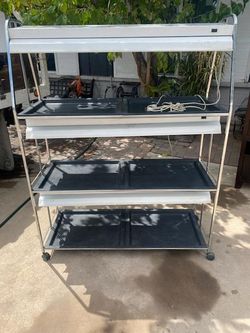Indoor Plant Stand With Lights
