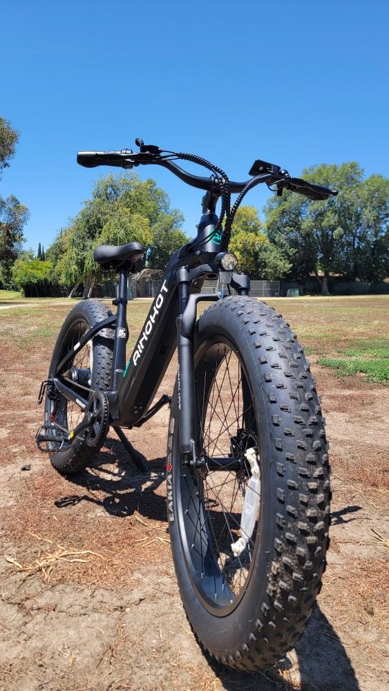 Fat Tires Step Thru Electric Bike