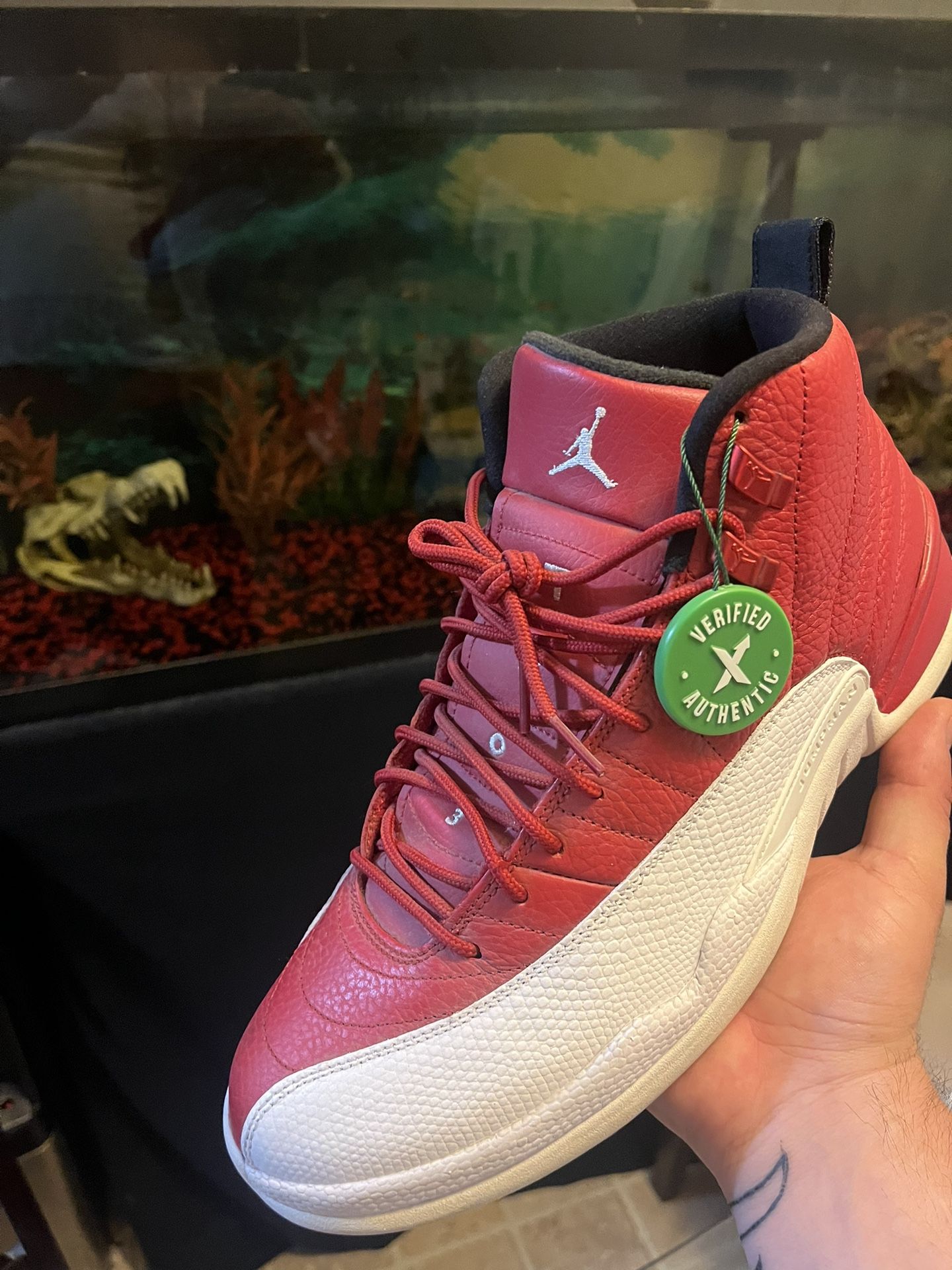 Jordan Retro 12 Gym Red Size 10.5