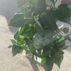 artificial plant basket 