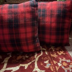 2 - 20x20” Pillows