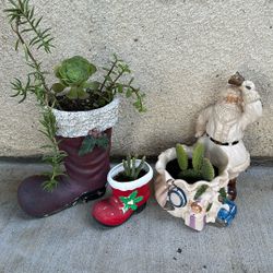 Succulents  All 3 For $ 5.00