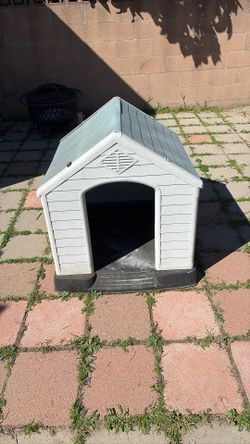 Dog House