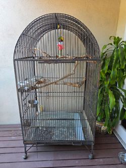 Bird cage for Parrot