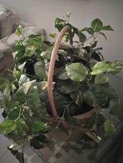 Fake plant with basket