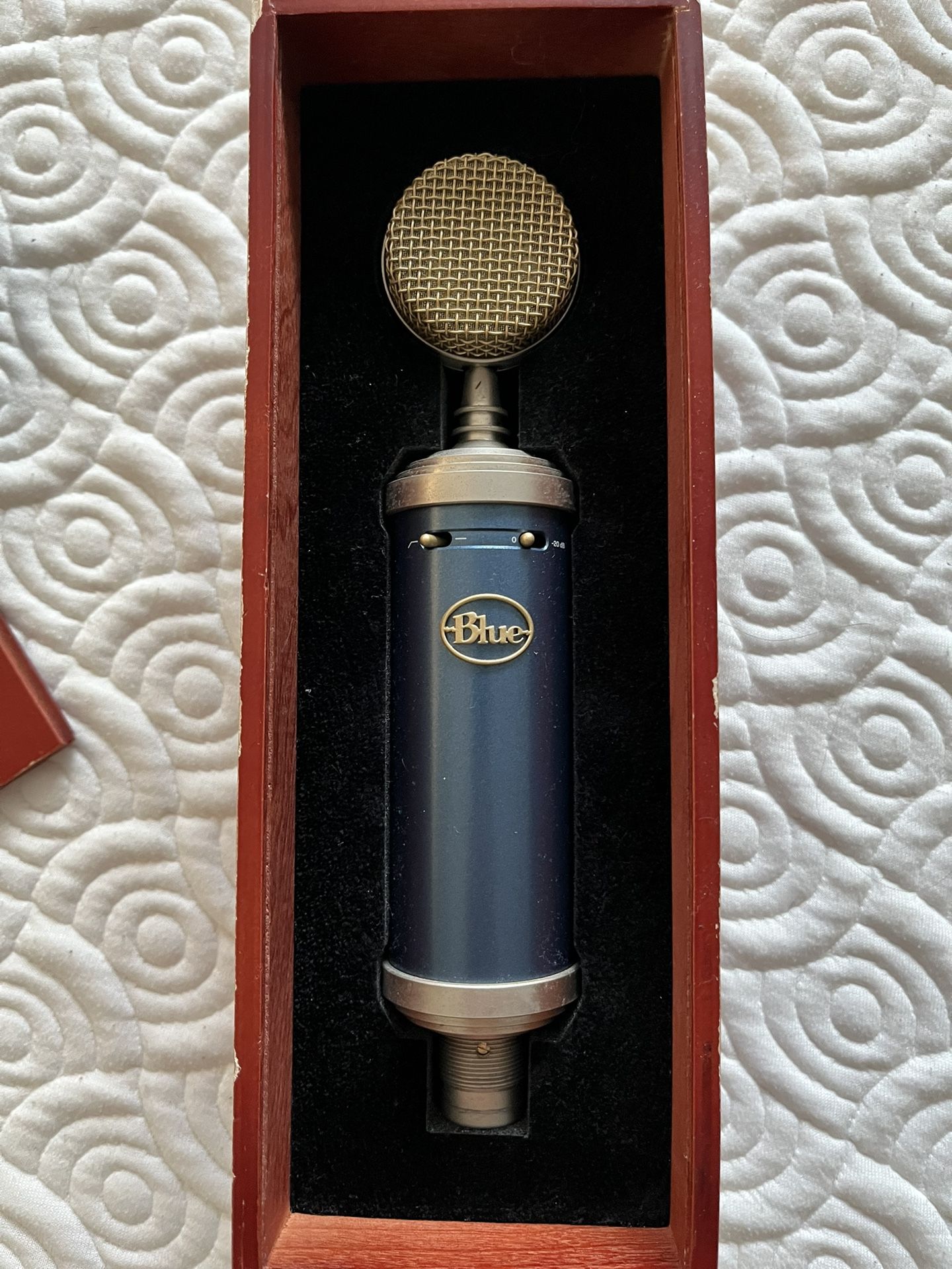 Bluebird microphone