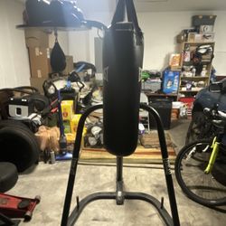 3 In 1 Kickboxing Punching Bag With Speedbag