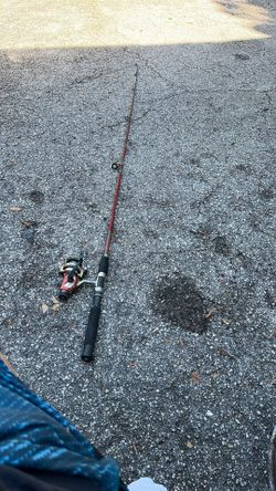 Fishing pole and reel 
