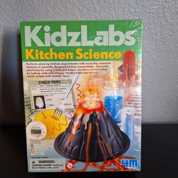 Kidzlabs Kitchen Science Volcano Project 