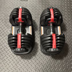 Bowflex SelectTech 552 Adjustable Dumbbell Set