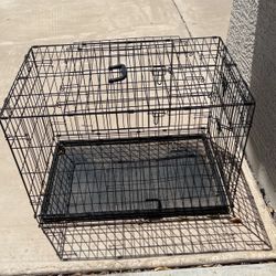 Dogs Cage 