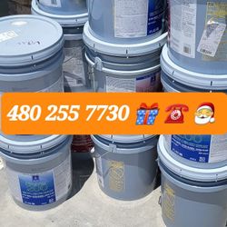 Paint For Sale 