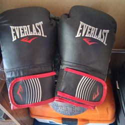 Everlast Punching Gloves 