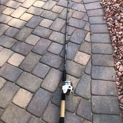 Berkley Fusion Rod & Reel