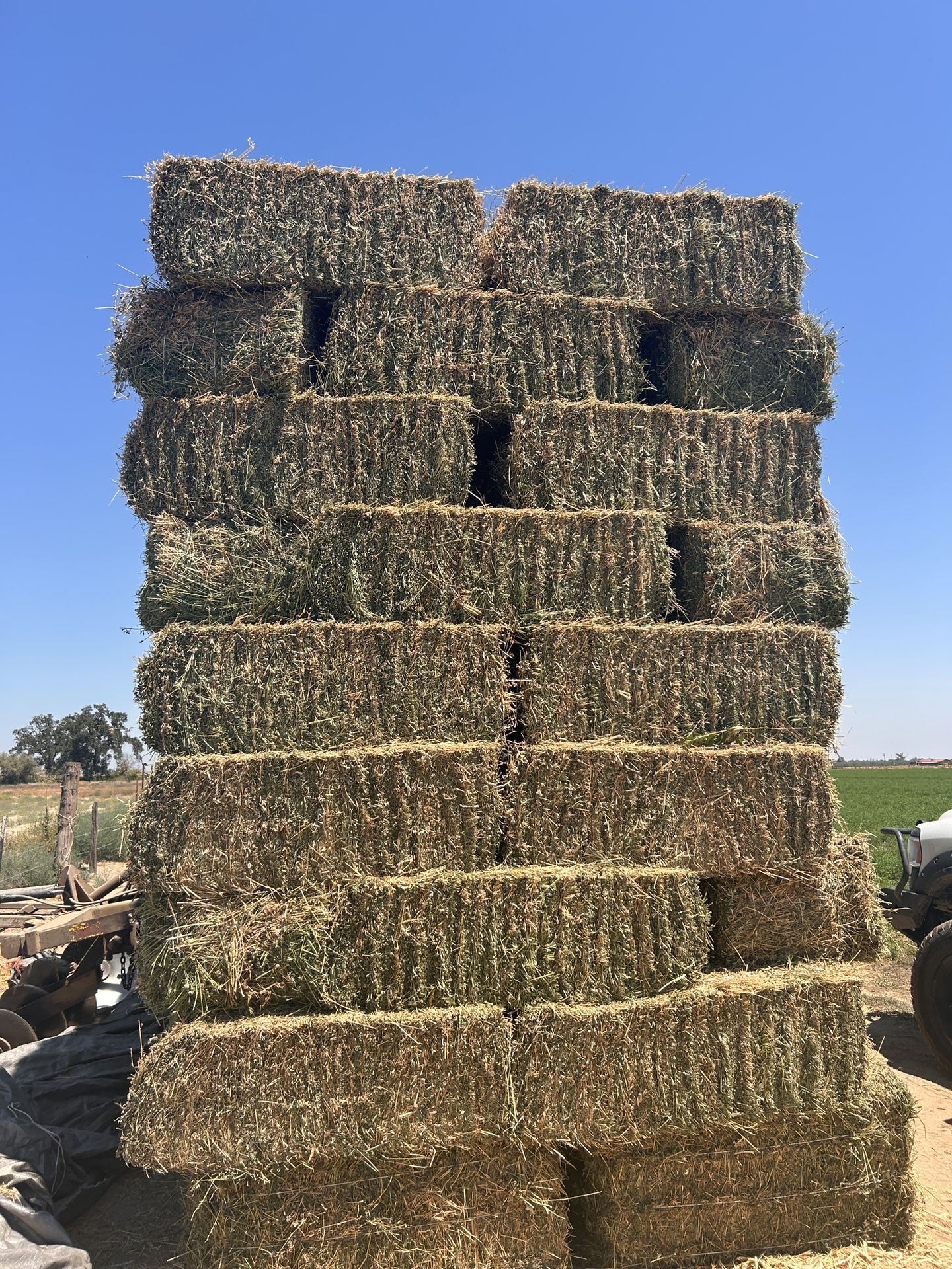 4 cut Alfalfa little grass/ 4 Corte poco de sácate 90-100lbs