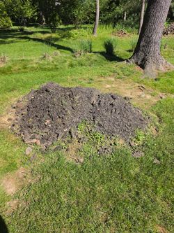 Fill dirt