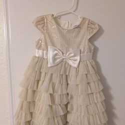 Brand New Beautiful Little Girls Dress ( Only Worn Time ) 