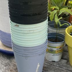 24 Plastic Assorted Color Small Planters - All For $25