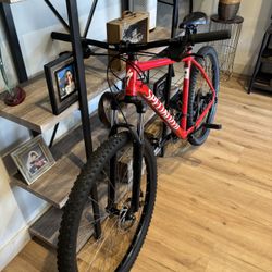 Specialize mountain bike