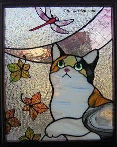 Cat Gatos