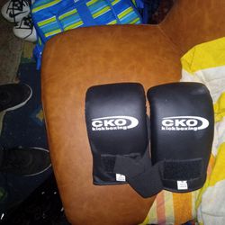 Martial Art / Kickboxing. Gloves And Training Pads 