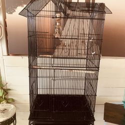 Bird Cage
