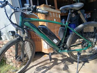 E bike (mountain bike)