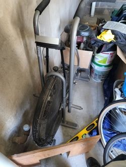 Schwinn Fan Bike