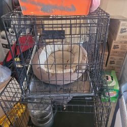 Dog Kennel