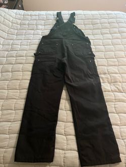 Carhartt Insulated Bib