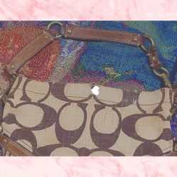 Small Coach Purse 
