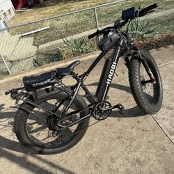 Electric Bike 