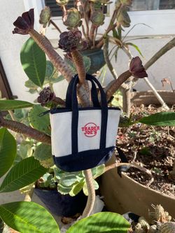 Trader Joe's Mini Canvas Tote Bag