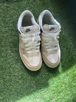 Nike dunks size 7