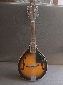 Instrument/Guitar/Mandolin