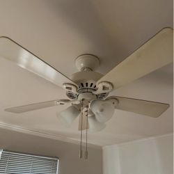 Ceiling Fan 
