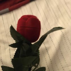Red Rose 🌹 Ring Case Wedding Gift 🎁 