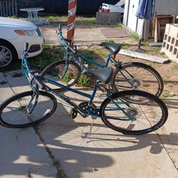 Mountain Bikes