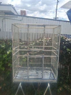 Bird Cage 🐦 🐦🐦