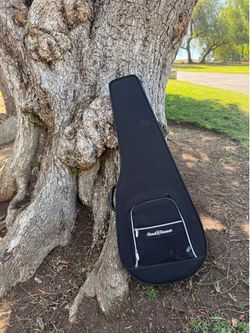 Ibanez Acoustic Guitar