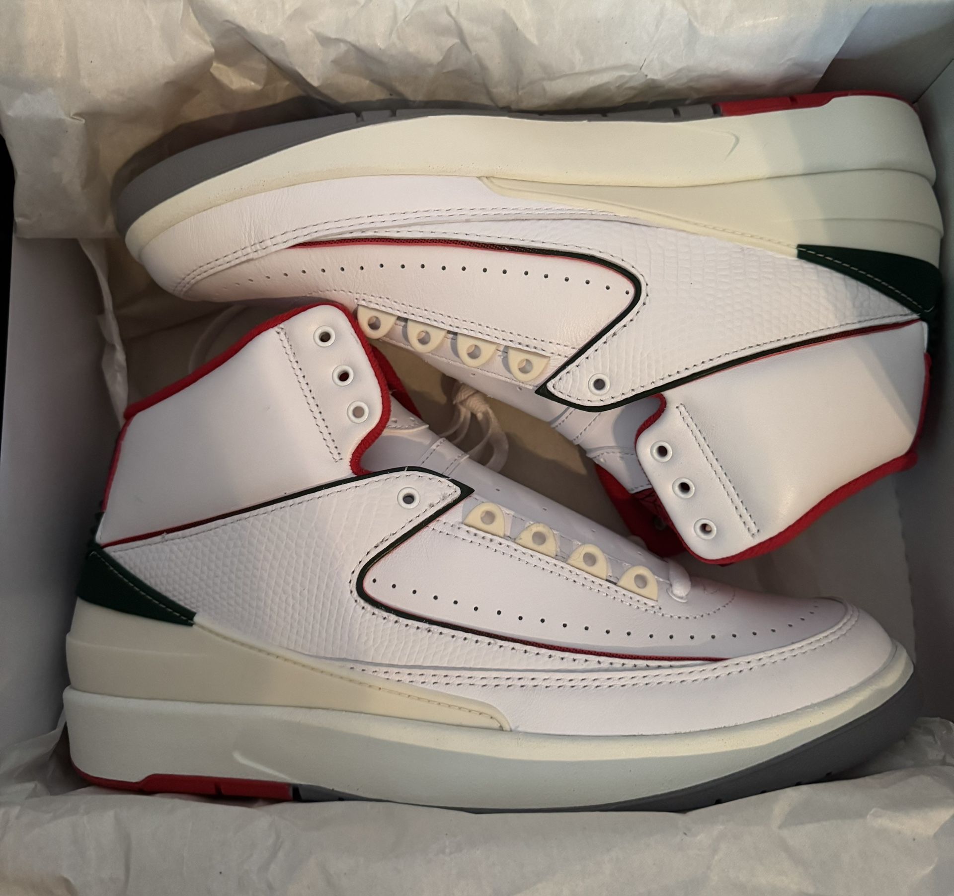 New Size 10.5 Jordan Retro 2