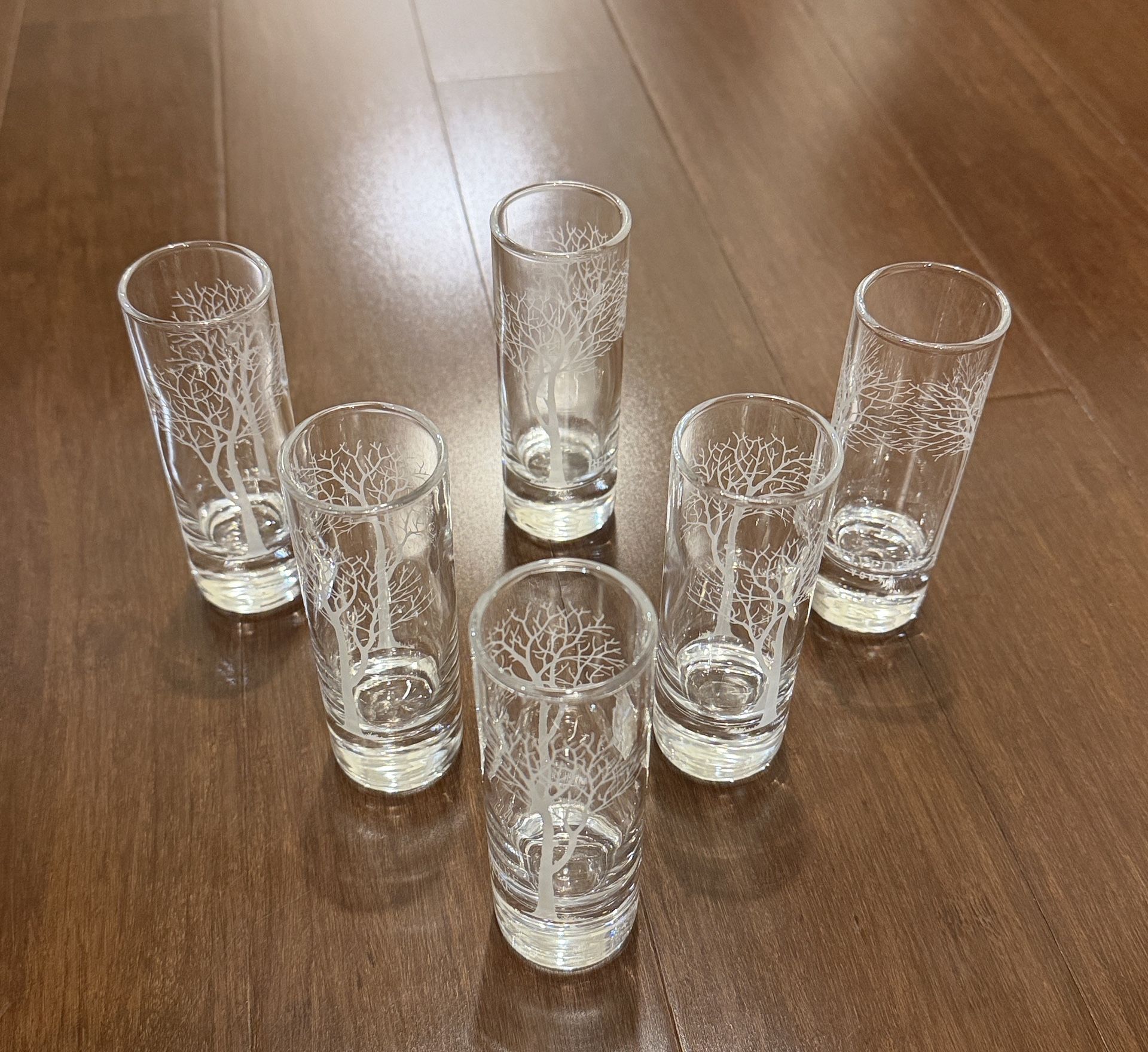 Belevere Vodka Clear Tree Design Shot Glass Set of 6 NEW