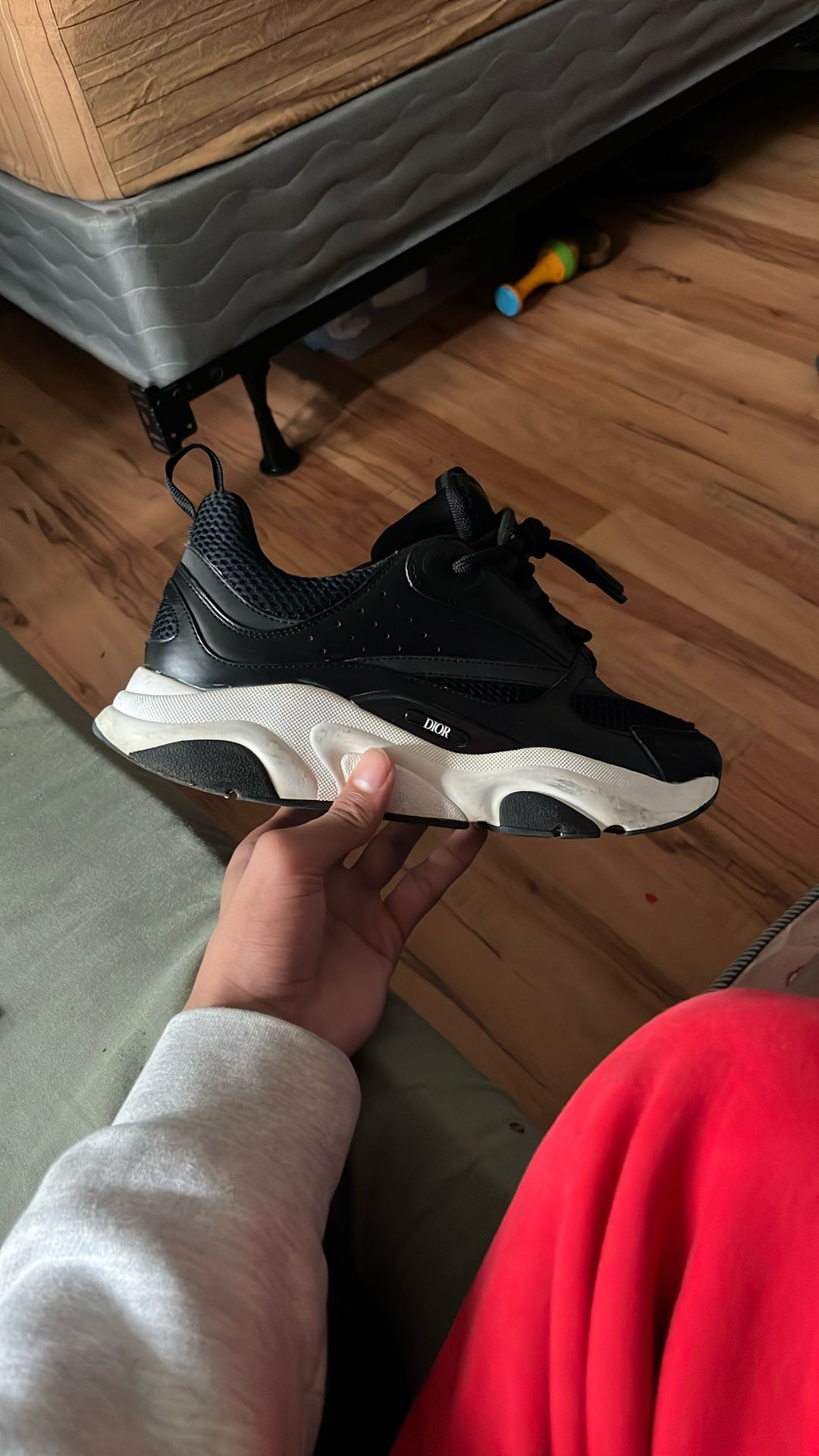 Dior B22