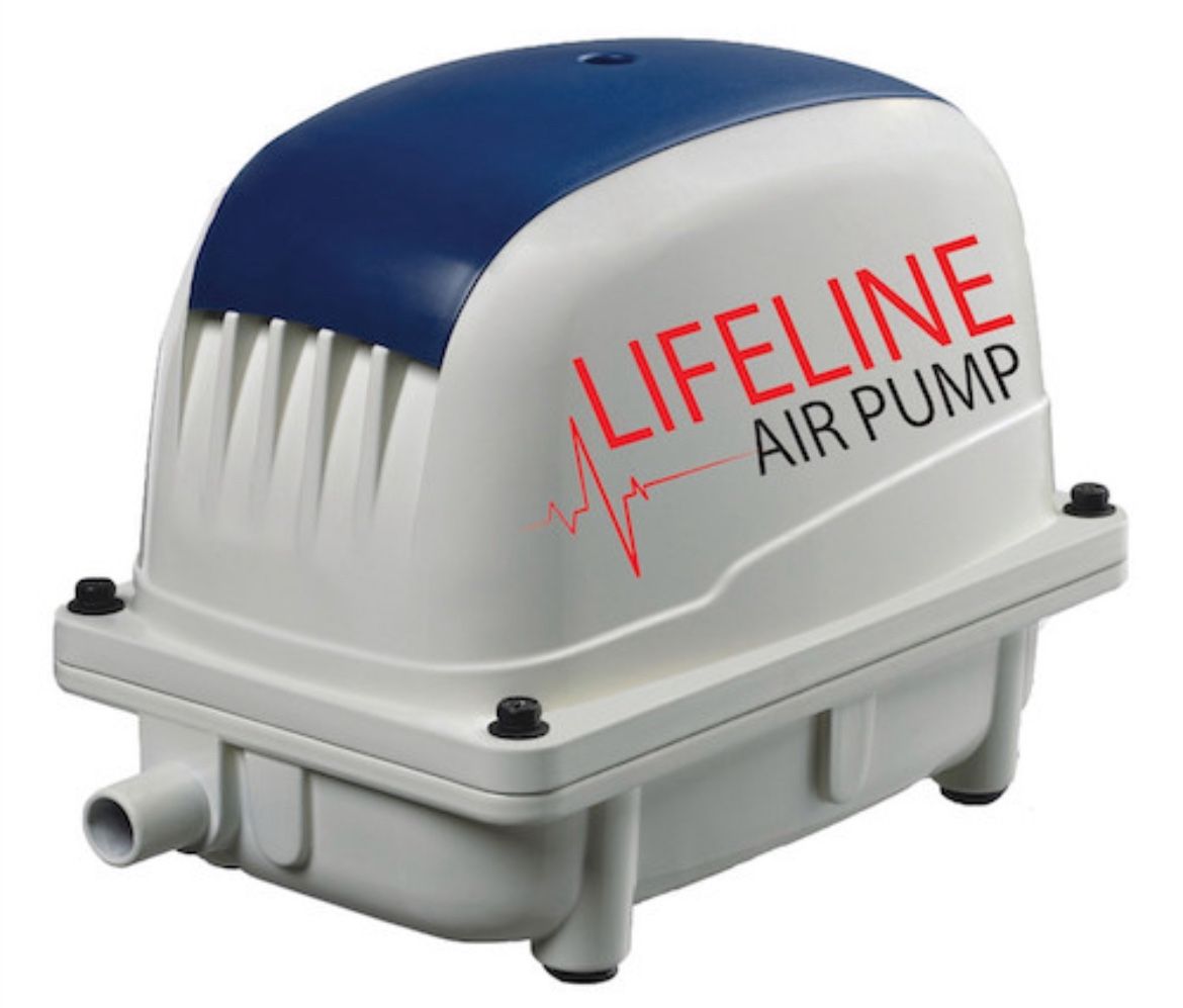 Anjon Air Plump 