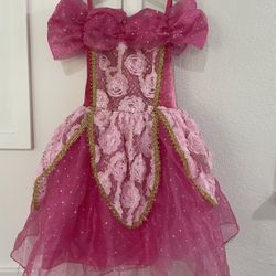 Halloween Costume Sleeping Beauty Dress