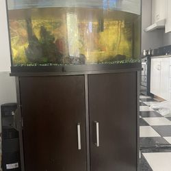 Fish Tank