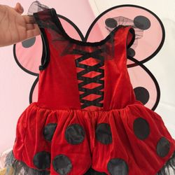 Ladybug Costume