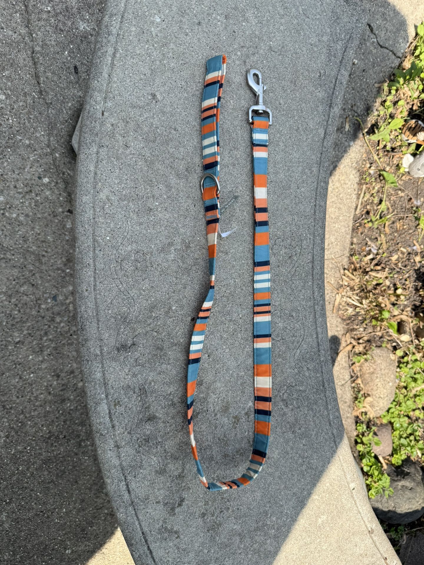 Top Paw 4 Foot Dog Leash