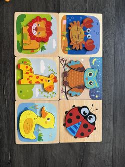 6 Toddler Puzzles 