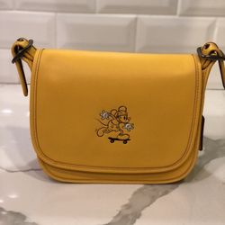 Disney Coach Bag